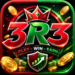3R3