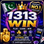 1313win